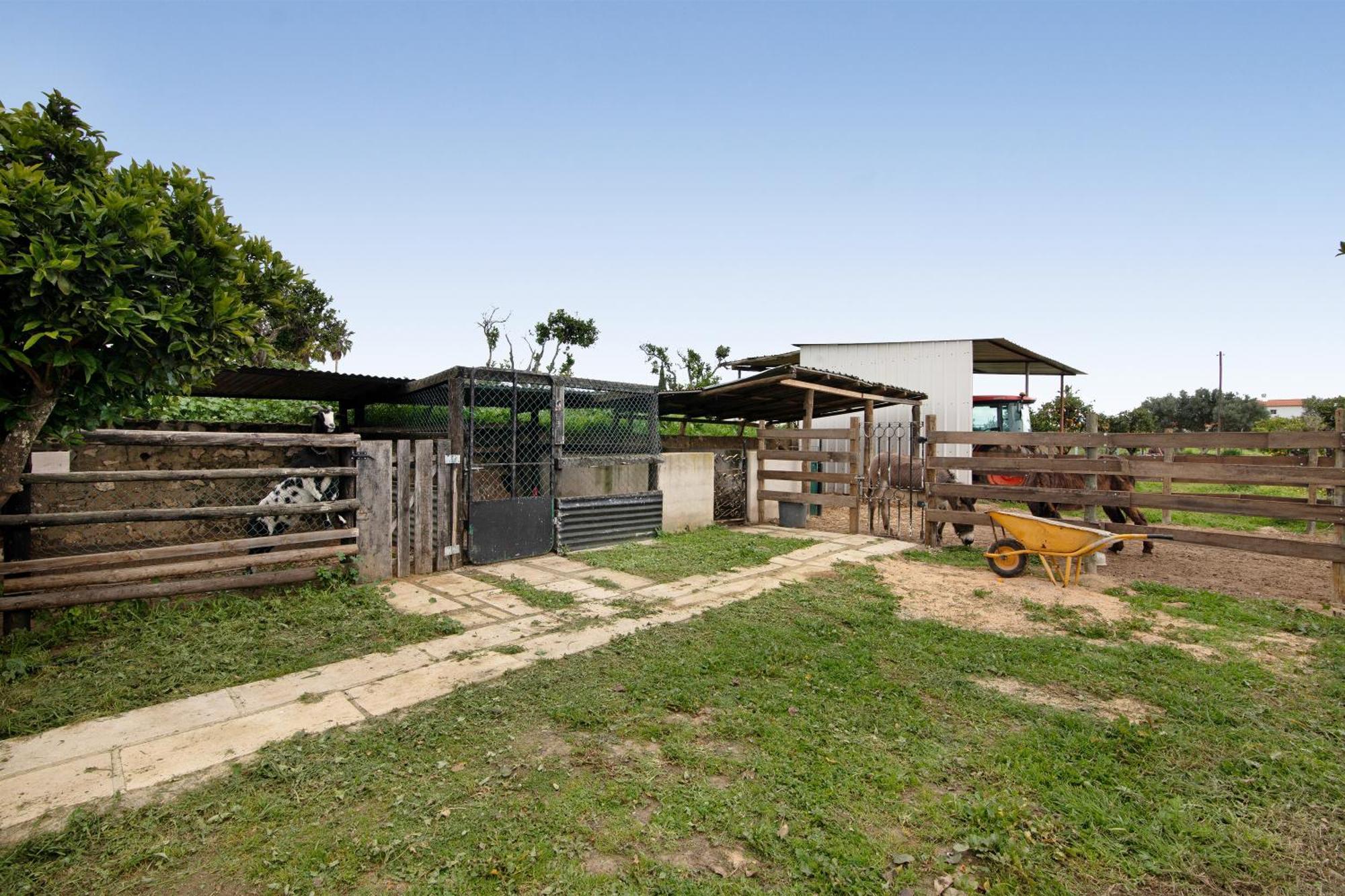 Casa Pedra Rosa - Vinhas De Nexe Ferienhaus Distrikt Faro